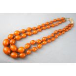 A double strand of graduated amber beads, stung knotted with a silver gilt clasp. 63.