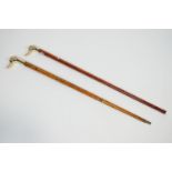 Two walking canes, each with brass duck head knops,