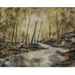 20th century School, watercolour, A stream running through the woods,