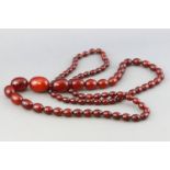 A single strand of large graduated cherry amber beads, strung plain and finished with a screw clasp.