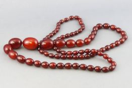 A single strand of large graduated cherry amber beads, strung plain and finished with a screw clasp.