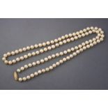 A single strand of cultured pearls (untested).