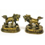 A pair of Chinese brass Temple Dogs, probably 19th Century, on oval plinth bases,