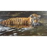 Alan M Hunt, 'Tiger', coloured print,
