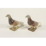Two Beswick 1383 pigeon figures, each with two stripes to the wings, impressed and printed marks,