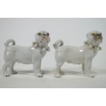 A pair of 19th century Continental porcelain figures of Pugs,