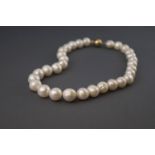 A single strand of white cultured freshwater pearls.