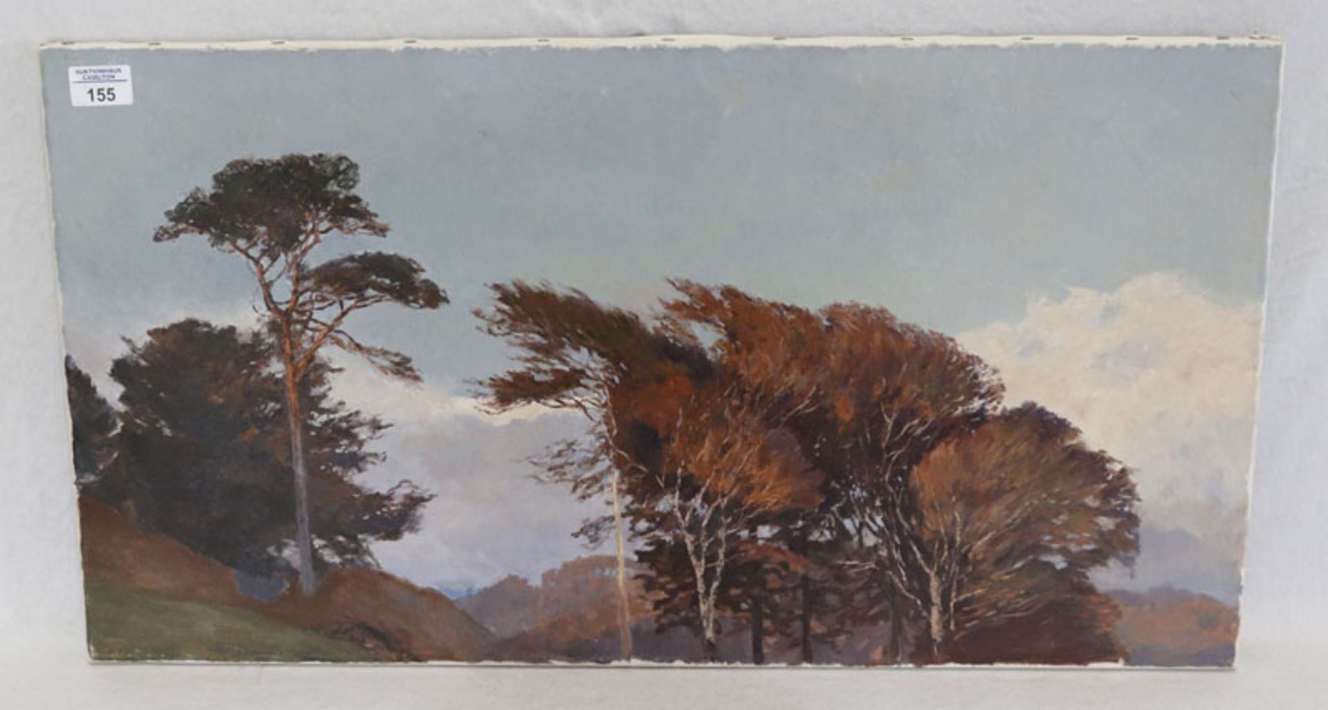 Gemälde ÖL/LW 'Bäume im Herbst', aus dem Nachlass von Haslbauer, Paul, * 1919 München + 2016