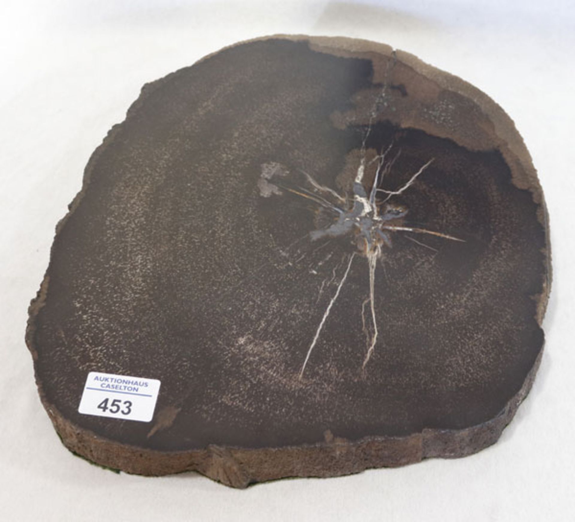 Versteinerte Holzscheibe, H 3,5 cm, D ca. 30 cm
