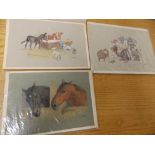 Mabel Gear - three unframed watercolours of animals. (3)