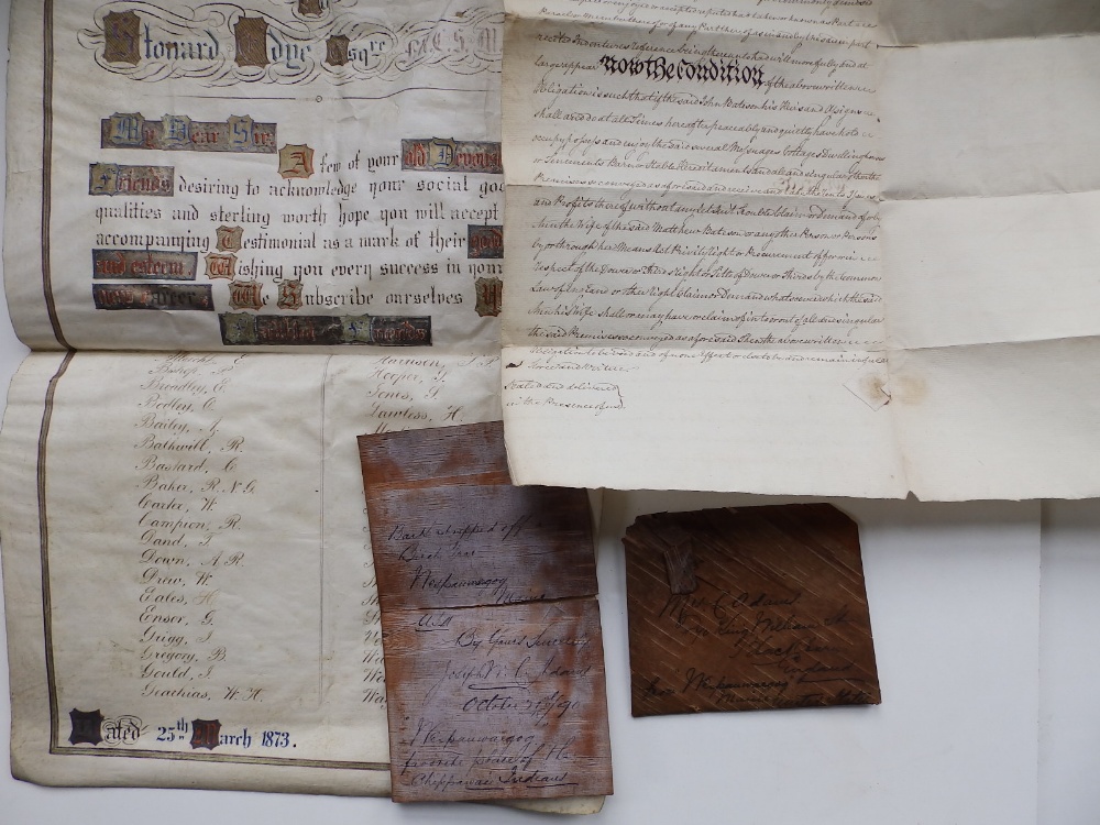 A late Victorian brief letter on bark stripped from a birch tree in the favourite place of the