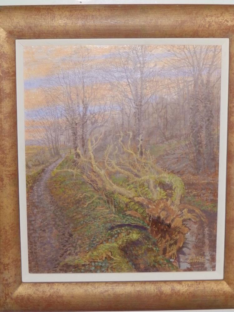 Maurice Sheppard - oil on canvas board - 'Falling Light, Mill Wood, Haverfordwest', 11,5" x 9.5" and