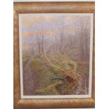 Maurice Sheppard - oil on canvas board - 'Falling Light, Mill Wood, Haverfordwest', 11,5" x 9.5" and