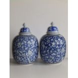 A pair of 19thC Chinese blue & white porcelain jars in hawthorn pattern. 10.5" high, together with