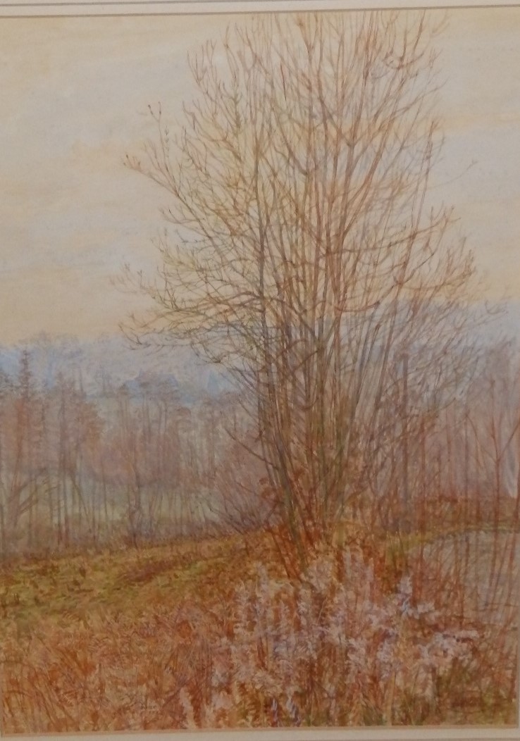 Maurice Sheppard - oil on canvas board - 'Falling Light, Mill Wood, Haverfordwest', 11,5" x 9.5" and - Image 2 of 2