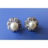 A pair of Victorian/Edwardian pearl & diamond cluster earrings together with another modern