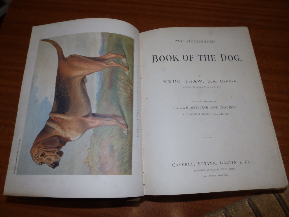 Vero Shaw - 'Book of the Dog', colour illus., published by Cassell, Petter, Galpin & Co., 1881 - - Image 2 of 4