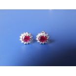 A pair of oval ruby & diamond cluster earrings in 18K white metal.