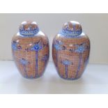 A pair of 20thC Oriental covered vases, 10" high.