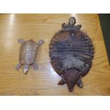 A taxidermy specimen armadillo mounted as a wall hanging letter rack and a small tortoise. (2)