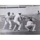 CRICKET - WORCESTERSHIRE V GLOUCESTERSHIRE LARGE PRESS PHOTOGRAPH