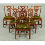 A set of one carver arm and five single mahogany Chippendale style dining chairs,