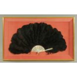 A 19th century black ostrich feather cased fan. Case 53 cm x 85 cm.