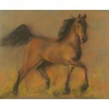 A pastel picture of a horse. 50 cm x 61 cm.