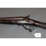 Cogswell & Harrison 10 bore hammer shotgun, 32" Damascus barrels, 2 5/8" chambers,