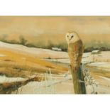 John MacDonald (20th century contemporary), "Barn Owl", signed, watercolour,