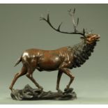 A large late Victorian bronze figure of an elk, raised on a naturalistic base.