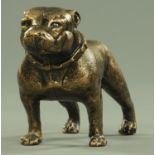 A metal figure of a British bulldog, length 30 cm.