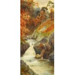 Edward Horace Thompson (1879-1949), a mountain stream with waterfall, 46 cm x 21 cm, framed,