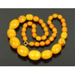 A string of butterscotch amber olive shaped beads, graduated, widths 11 mm to 2.6 mm.