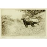 Jackson Simpson, etching, "Setters". 16 cm x 24 cm, framed, signed in pencil.