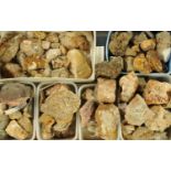 A quantity of geological rock specimen samples, to include samples taken from Old Brandley,