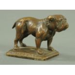 A vintage car bronze "King Dick" car mascot, modelled as a bulldog upon a rectangular base, 8.