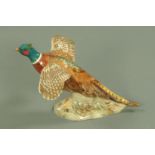 A Beswick model of a pheasant taking flight, model number 850,