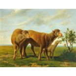 Van Baarle, oil on panel, study of sheep in naturalistic surroundings. 27 cm x 35.