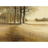 Kathleen Caddick (British, 1937), "Edge of The Wood", limited edition engraving number 245 of 250,