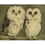 English School 20th century, black and white engraving, "Saw-Whet Owls", signed,