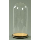 A Victorian glass dome on ebonised wood stand, height 47.5 cm, the glass 20.5 cm diameter.