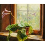 Alan Thompson "Streptocarpus", oil on board, artist label verso, 21 cm x 25 cm.