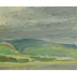 Tom Robb, "A Rural Fellside Landscape", signed, oil on board, 49.5 cm x 59.5 cm.
