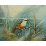 Alan Harris, oil on canvas, bird on branch. 39.5 cm x 49 cm, framed, signed with monogram.