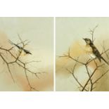 A pair of oil paintings on canvas, birds on branches. Each 39 cm x 29 cm, framed, monogrammed.