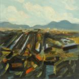 Aidan Butler, 20th century, "Mayo Fields", signed and titled verso, dated '05, oil on canvas, 28.