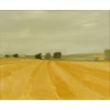 Tom Robb, contemporary rural landscape, signed, oil on board, 29.5 cm x 37.5 cm.