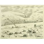 Alfred Wainwright, original pen and ink drawing, "Middleton Fell". 17 cm x 21.