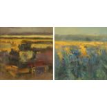 Aidan Butler, 20th century, "Catalonia" and "After the Storm", each signed,